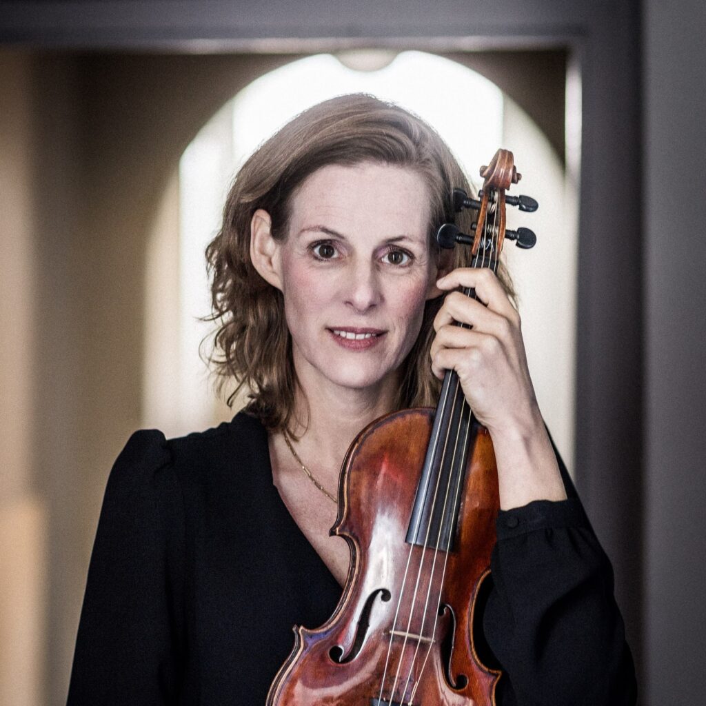 image for Steenbrink