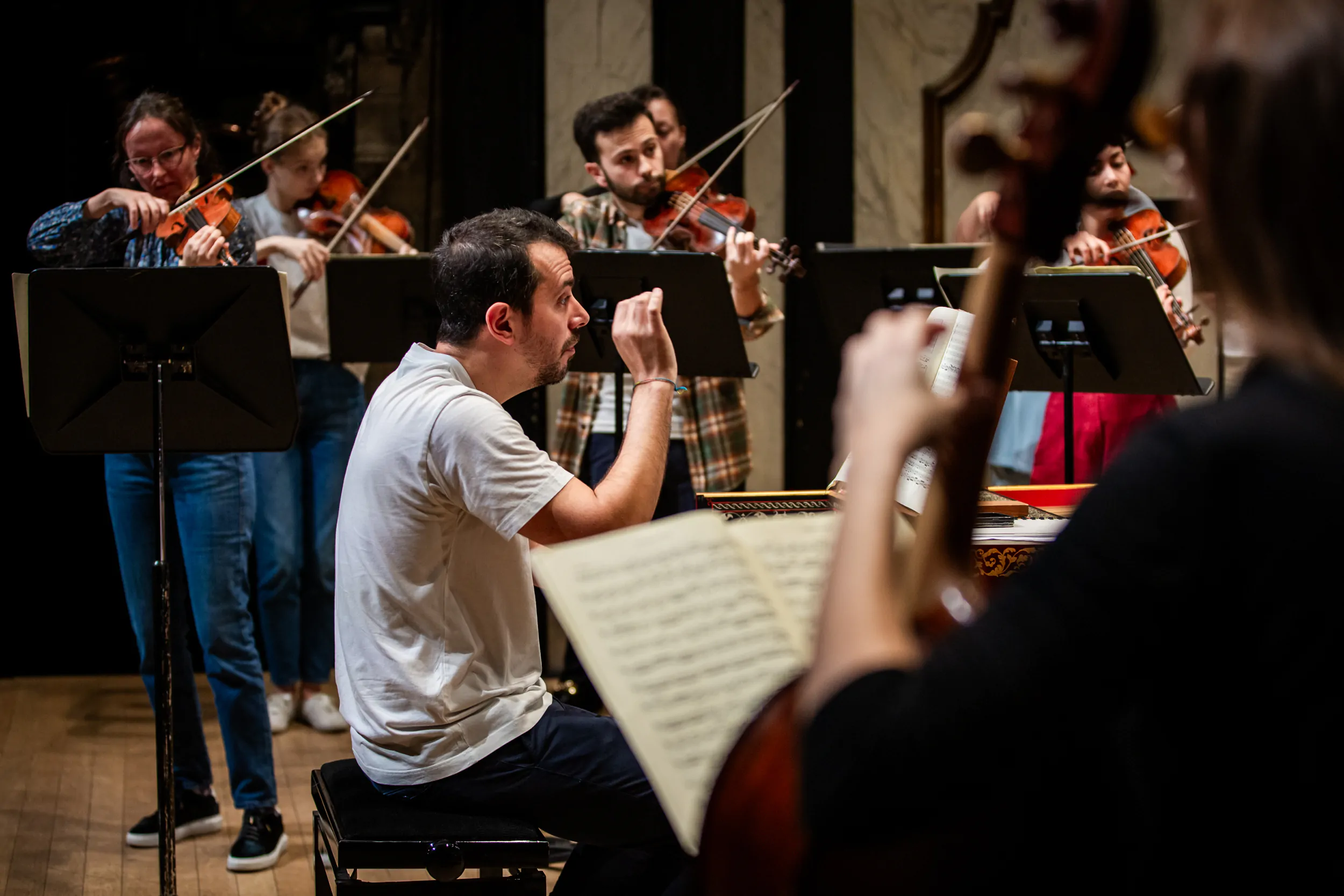 image for Project #2: Les éléments