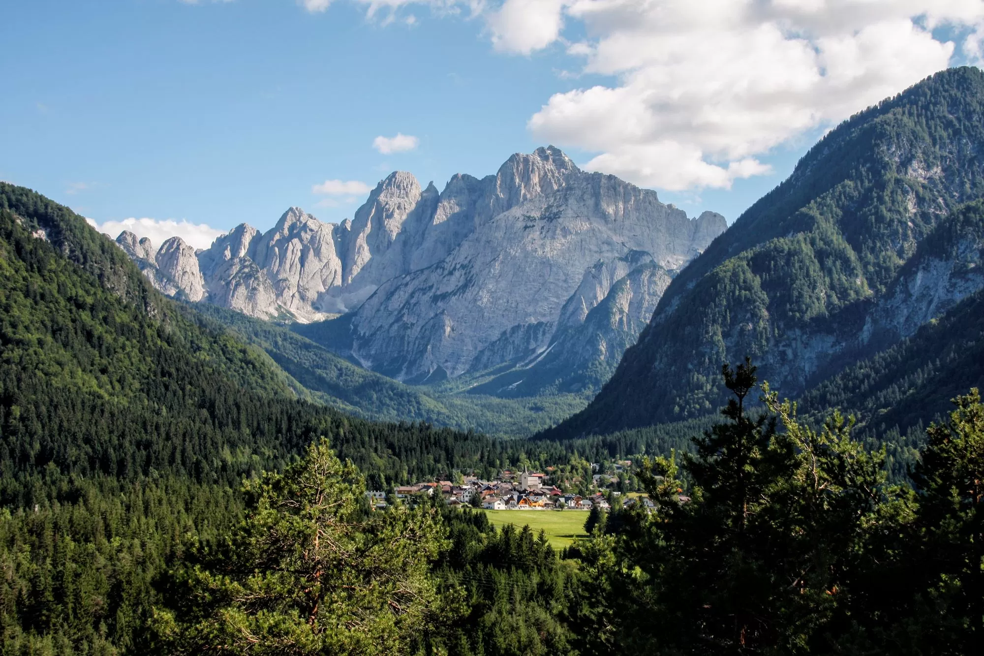 image for Project #3: Exotism